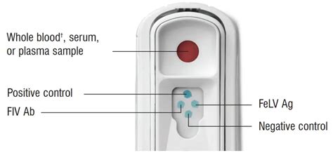 idexx snap felv/fiv test instructions|SNAP® Test Quick Reference Guide .